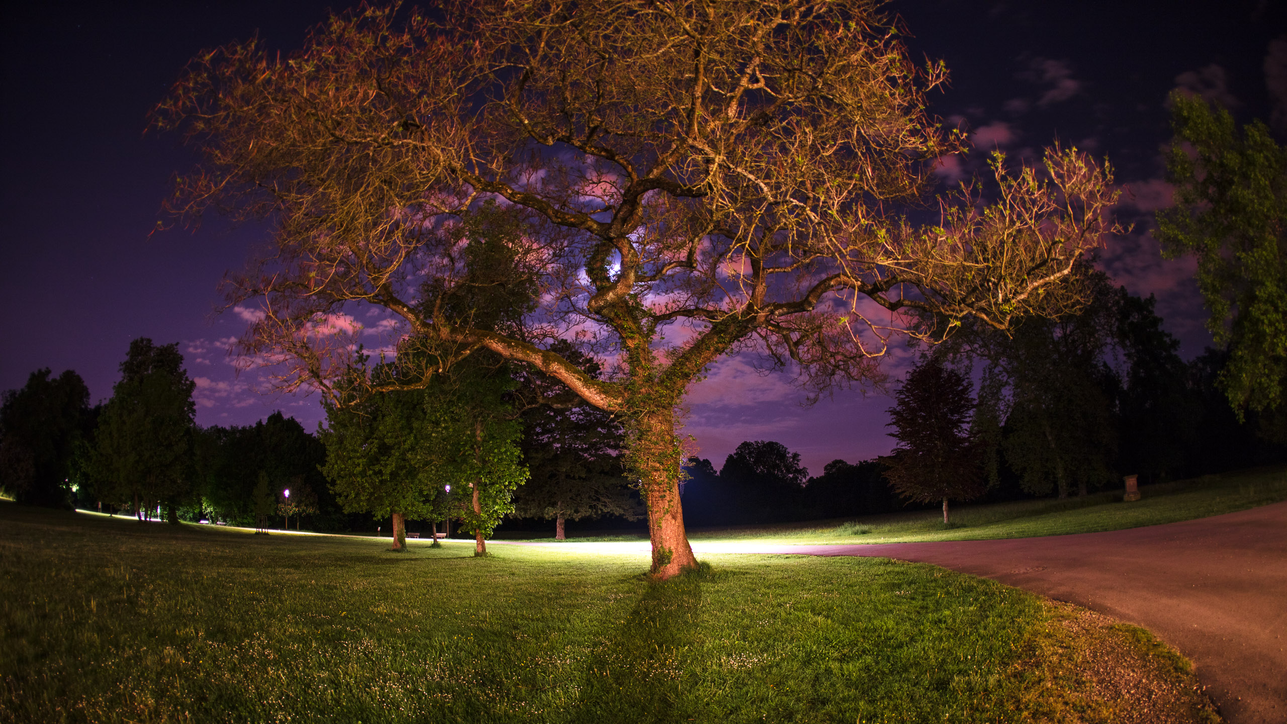 20220507235745 DP017488